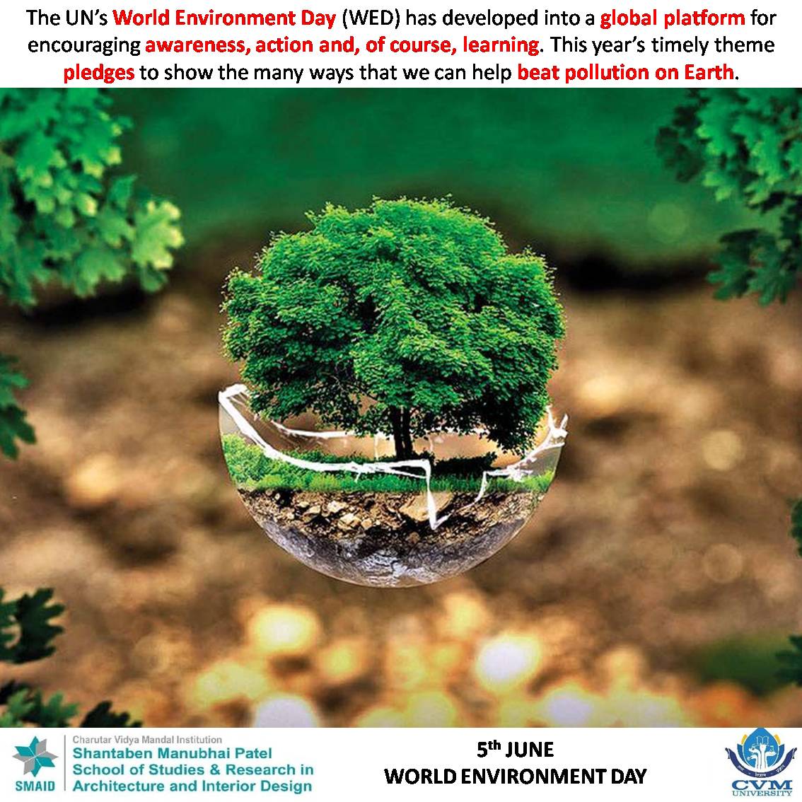 5th June World Environment Day